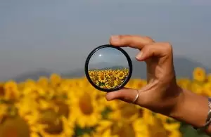 servqual-um-metodo-para-avaliar-qualidade-do-servico
