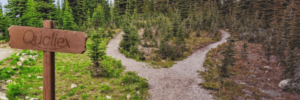 Imagem de uma floresta com dois caminhos e uma placa escrito qualiex. Essa imagem simboliza o artigo sobre tomada de decisão.