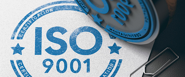Qualiex e o requisito 4.4 da ISO 9001 - SGQ e seus processos